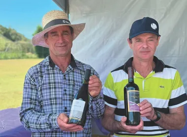 Imagem ilustrativa da imagem Alfredo Chaves realiza a Festa da Uva e do Vinho de São Bento de Urânia