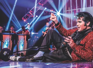 Imagem ilustrativa da imagem Seu programa: tributo ao Rei do Rock com sucessos de Elvis Presley hoje em Vitória