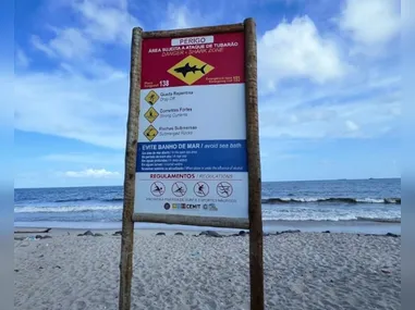 Em todo o território nacional, mais de 33 mil jovens se alistaram em 2025