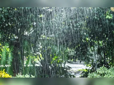 Imagem ilustrativa da imagem Alerta de chuvas intensas para 63 municípios do Espírito Santo