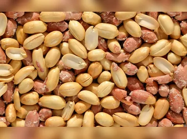 Imagem ilustrativa da imagem Amendoim: vilão ou aliado contra colesterol?