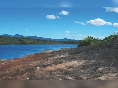 Levantamento traz total de ocorrências registradas na BR-101 durante o 1º trimestre de 2026