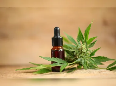 Remédios: pedido de registro da versão oral do Wegovy, formulada em comprimidos de semaglutida na dose de 25 mg