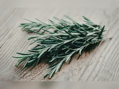 Imagem ilustrativa de injeção