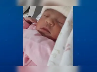 Peixe Mero entre corais