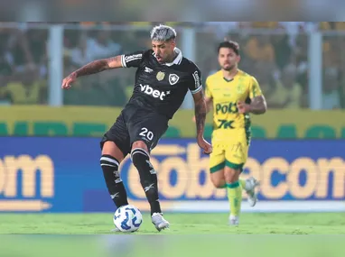 Alex Tellex: Botafogo