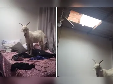 Osman Magalhães tinha 95 anos