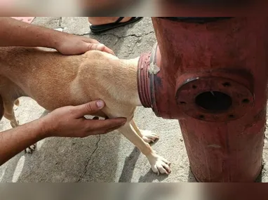 Lara Marina é natural de Afonso Cláudio, na região Serrana do Espírito Santo