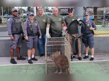 Phellipe Sarmento destaca a importância de ter regras bem definidas