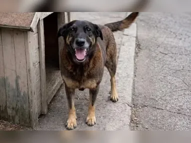 Durante a operação foram apreendidas uma arma, drogas, carregadores e munições