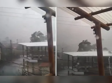 Material fazia parte da decoração montada especialmente para o período carnavalesco