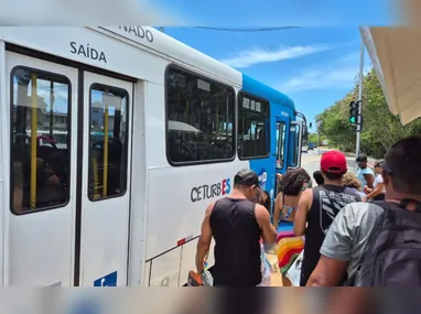 Mais de 800 quilos de cabos inutilizados foram retirados neste domingo (15).