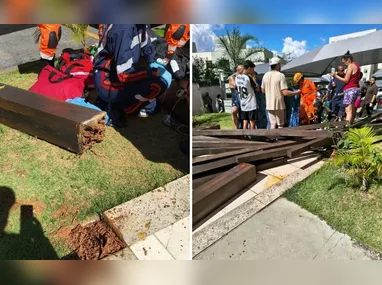 Árvore atingiu a cadeirinha onde a menina estava