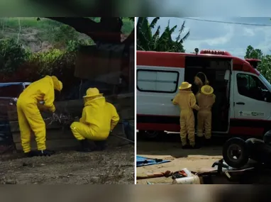 O que mais encantou nas redes sociais foram as expressões captadas pelas lentes