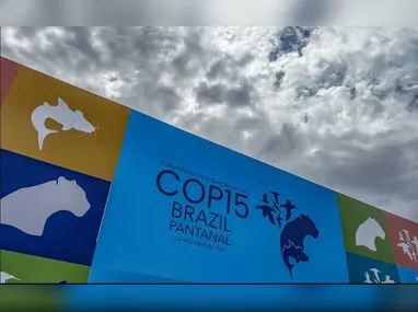 Imagem ilustrativa da imagem Cúpula de líderes orienta debates para COP15 em Mato Grosso do Sul