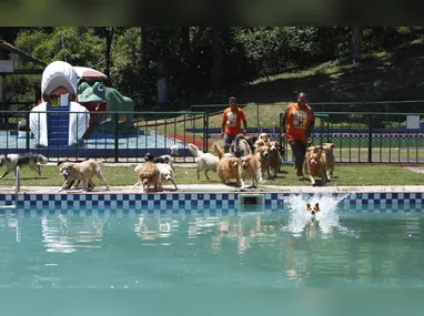 Apostas podem ser feitas até as 20h, horário de Brasília