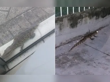 Eduardo Araújo, economista, professor na Fucape e  mestre pela Universidade de Oxford