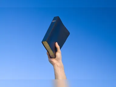 Caiado aposta na segurança pública