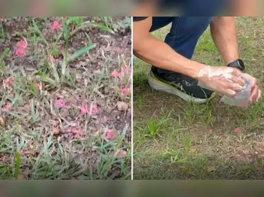 Incêndio atingiu vários cômodos do imóvel