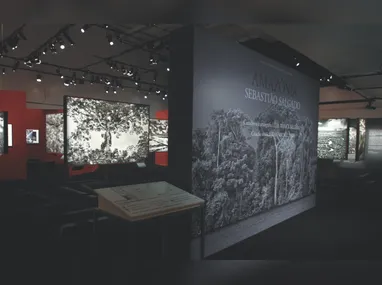 Roberto Carlos: aniversário