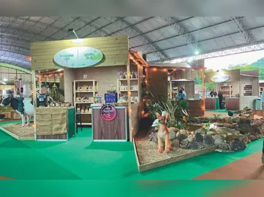 Visitantes conferem a exposição “Você Já Escutou a Terra?”, que foi destaque durante o evento  COP 30