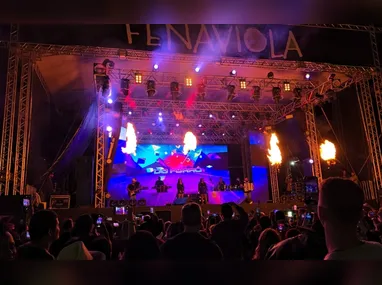 Imagem ilustrativa da imagem Fenaviola 2026 abre inscrições e retoma formato competitivo em Colatina