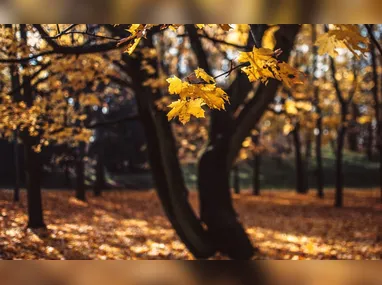 Imagem ilustrativa da imagem Fim do verão: Como vai ser o clima durante o outono no ES?