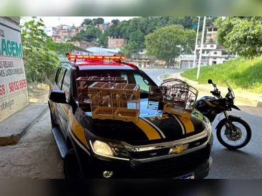 O suspeito foi conduzido pela Polícia Penal à Delegacia Regional de Vitória, onde permanece à disposição da Justiça