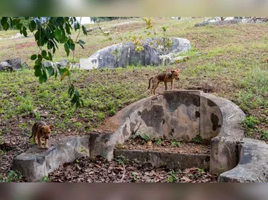 Juliana Faustino Bassetto sofreu uma parada cardíaca e não resistiu