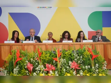 Imagem ilustrativa da imagem Governo lança Plano Clima com meta de reduzir emissões até 2035