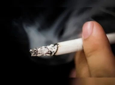 A cigarrinha-do-milho altera a coloração da planta