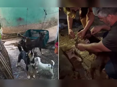 Polícia Civil realizou a apreensão do suspeito e o encaminhou para o sistema prisional