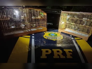 No total, foram cumpridos 16 mandados de prisão e outras duas pessoas foram presas em flagrante