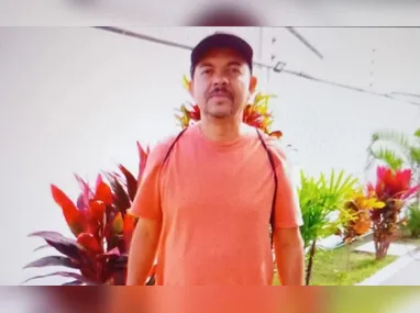 Tubarão-martelo é esquartejado em via pública em Guriri