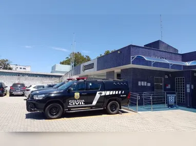 Tubarão-martelo é esquartejado em via pública em Guriri