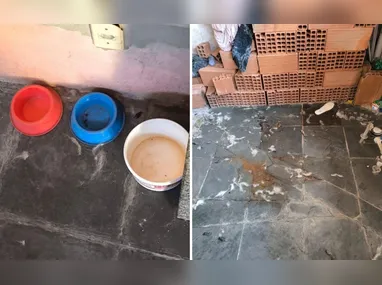 Dante Brito, Dante de Barros e Paulo Helal foram julgados no caso Araceli