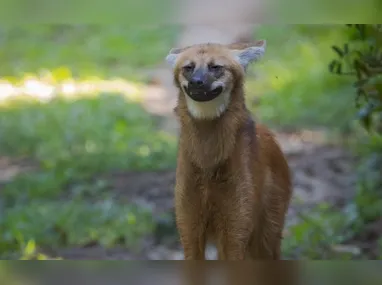 Atleta foi resgatado por equipe do Notaer