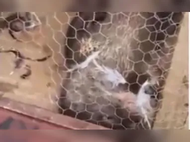 Rua de Mimoso do Sul após temporais que provocaram estragos em 2024: ajuda voluntária para reconstrução