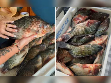 Anúncio foi feito no Pálacio Fonte Grande, em Vitória, nesta terça-feira (31)