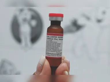 Imagem ilustrativa da imagem Médicos explicam risco de surto de sarampo