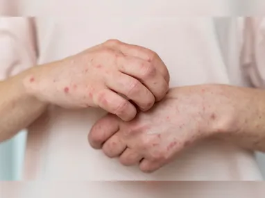 Material apreendido foi avaliado em R$ 1 milhão