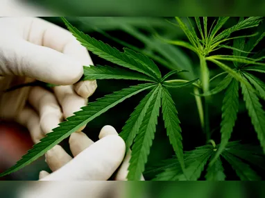 A cardiologista Tatiane Emerich ressalta que o Sinal de Frank pode aparecer em pessoas mais jovens