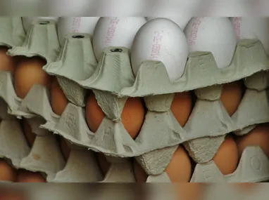 Correios disseram que a implementação da medida respeitará integralmente a legislação trabalhista e os direitos dos empregados