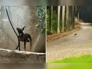 Vista aérea de Aracruz:  iniciativa ocorre em meio à instalação da montadora GWM, que deve chegar em 6 anos
