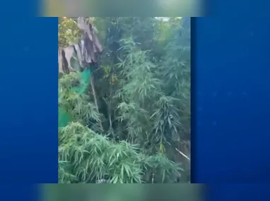 Cristiano Rosa Vieira foi morto a tiros no dia 15 de março, em Guarapari