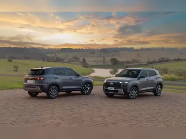 Dolphin Special Edition