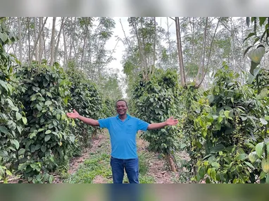 Colheita do café: preocupação