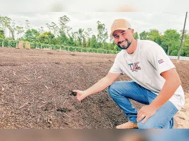 Safra de café 2026 no Espírito Santo começa com projeção positiva: produção estimada em 19 milhões de sacas, puxada pelo conilon e pela recuperação do arábica