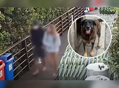 Última imagem de Daiane dentro do elevador foi registrada às 19h do dia 17 de dezembro