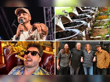 Alegre sedia festival de cinema